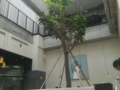 -大树餐厅(红旗街万达店)