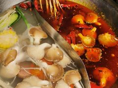 -辣伍鲜毛肚老火锅(元一店)