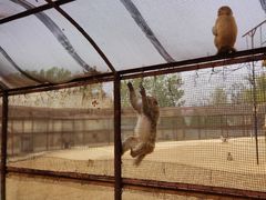 -秦皇岛野生动物园