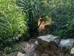 -西涌国际滨海旅游区