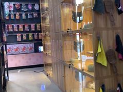 -喵百万·布偶·蓝金金渐层英短·猫舍(百子湾店)