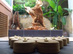 -厦门园林植物园-植物园滴水山房
