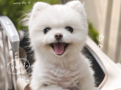 -CaptainGeorge风味博物馆