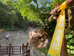 -北京西山国家森林公园