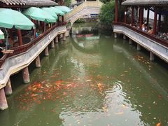 -龙潭水乡