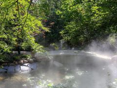 -西海岸生态观光园