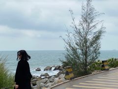 -广东惠东海龟国家级自然保护区