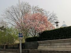 -北京上庄水库尚野露天户外自助烧烤