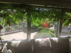 -精德口腔·种植修复·儿牙中心(财富中心店)