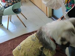 -宠颐生宠物医院·心肾内科·猫专科诊疗中心宠巢店