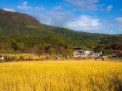 -塔川景区