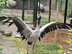 -青藏高原野生动物园