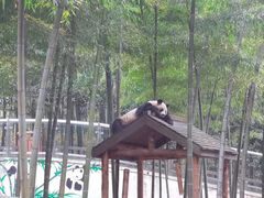 -天目湖御水温泉·度假酒店