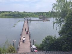 -溱湖国家湿地公园