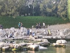 -环城公园