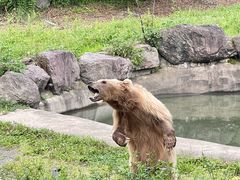 -宁波野生动物园