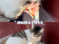 -长春观