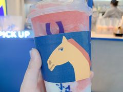 -春丽小马(济南恒隆广场店)