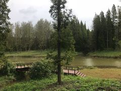 -黄海国家森林公园