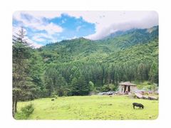 -硗碛藏寨·神木垒景区