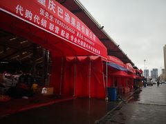 -双福水果批发市场