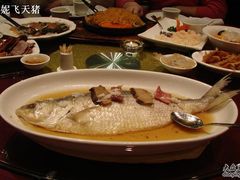 酒酿蒸鲥鱼-新南华大酒店(长寿店)