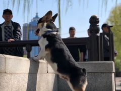 -金宫殿故址