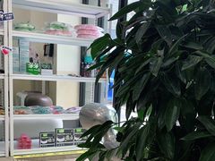 -美联众合动物医院·24h转诊中心
