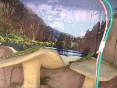 -临沂动植物园