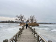 -野鸭湖国家湿地公园