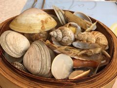 -马哥孛罗咖啡厅·Cafe Marco (厦门马哥孛罗东方大酒店)