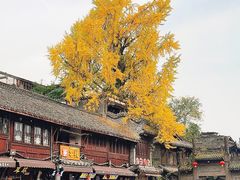 -崇州市街子古镇