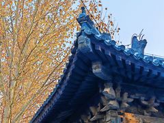 -嵩祝寺及智珠寺