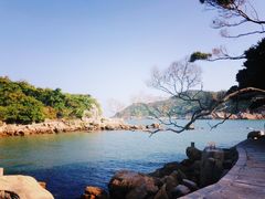 -东澳岛