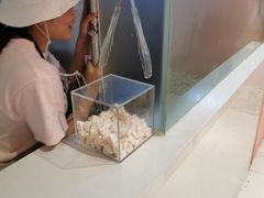 -狐狸和向日葵(北京路店)