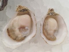-Oyster Talks 四度蚝法餐厅