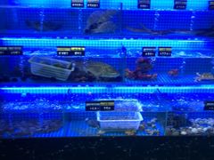 -格力东澳大酒店-蓝色海岸餐厅