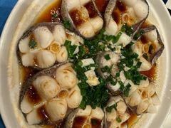 -老淳安—伴山伴湖(千岛湖开元度假村店)