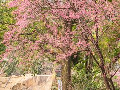 -乌山风景区