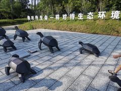 -广东惠东海龟国家级自然保护区
