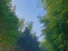 -天目湖涵田半山温泉