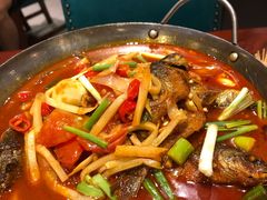 -金龙寨(解西店)