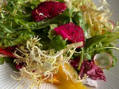 果蔬大拌菜-大鸭梨烤鸭(金色漫香店)