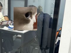 -JT PREP国际学科课程·IB·AP·Alevel(陆家嘴校区)