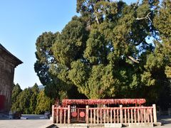 -四门塔风景区