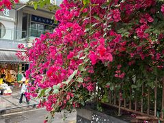 -万达广场(巴南店)