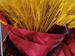 -鸽子侯·家宴·平价海鲜(市图书馆店)