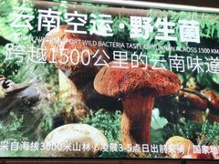 -野·大山里野生菌石锅土鸡(益田假日店)