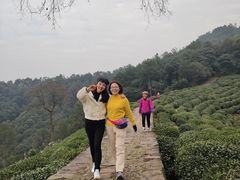 -西湖风景区十里琅珰-五云山