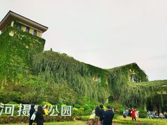 -府河摄影公园